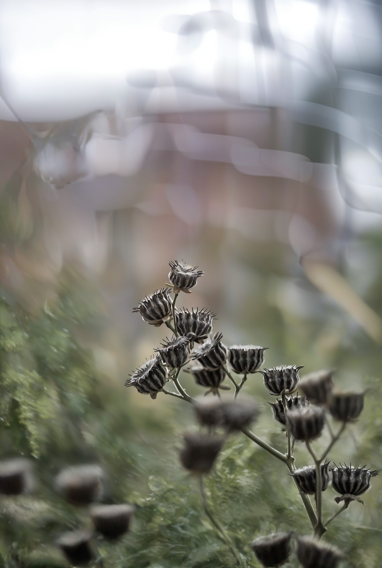 Photographs, 2025: image 12 of 29