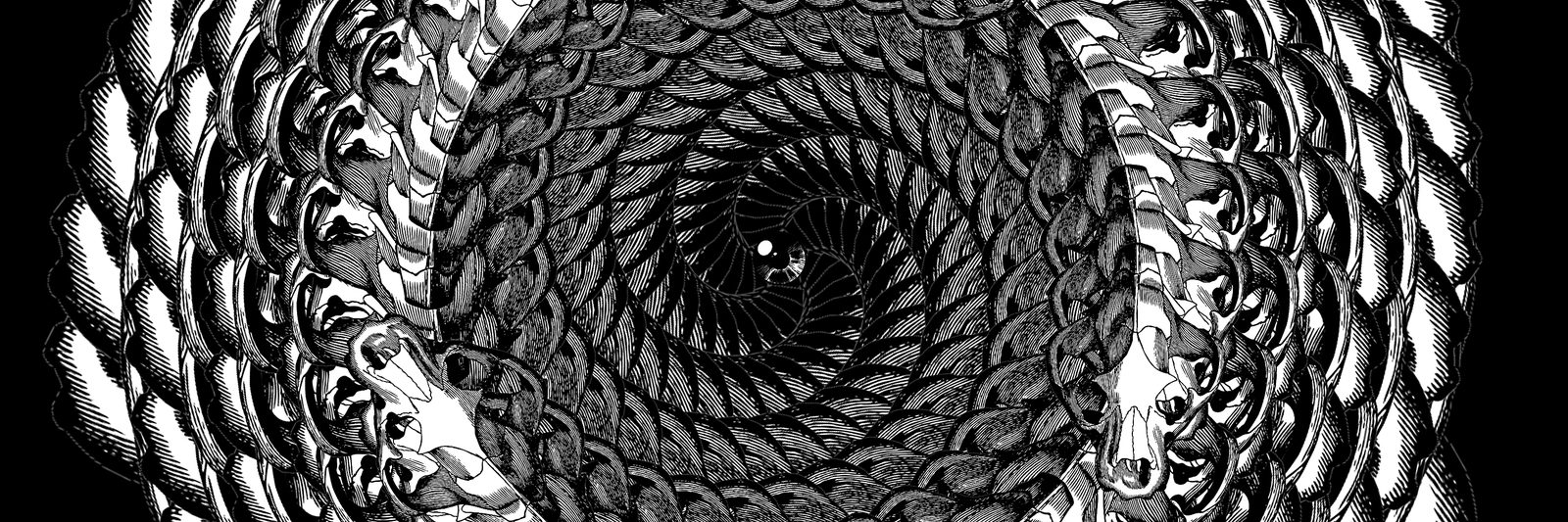 Skull Spiral, 2017: image 3 of 5