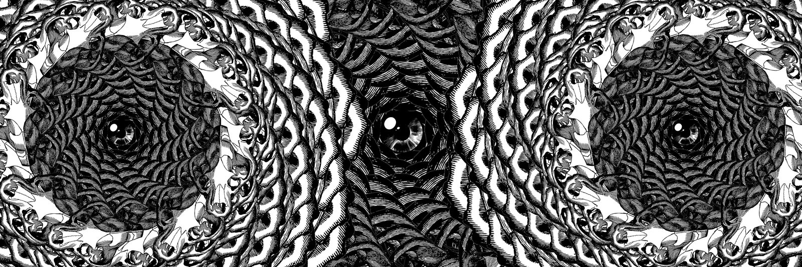 Skull Spiral, 2017: image 2 of 5