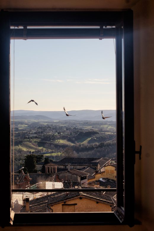 Tuscan Frames, 2020